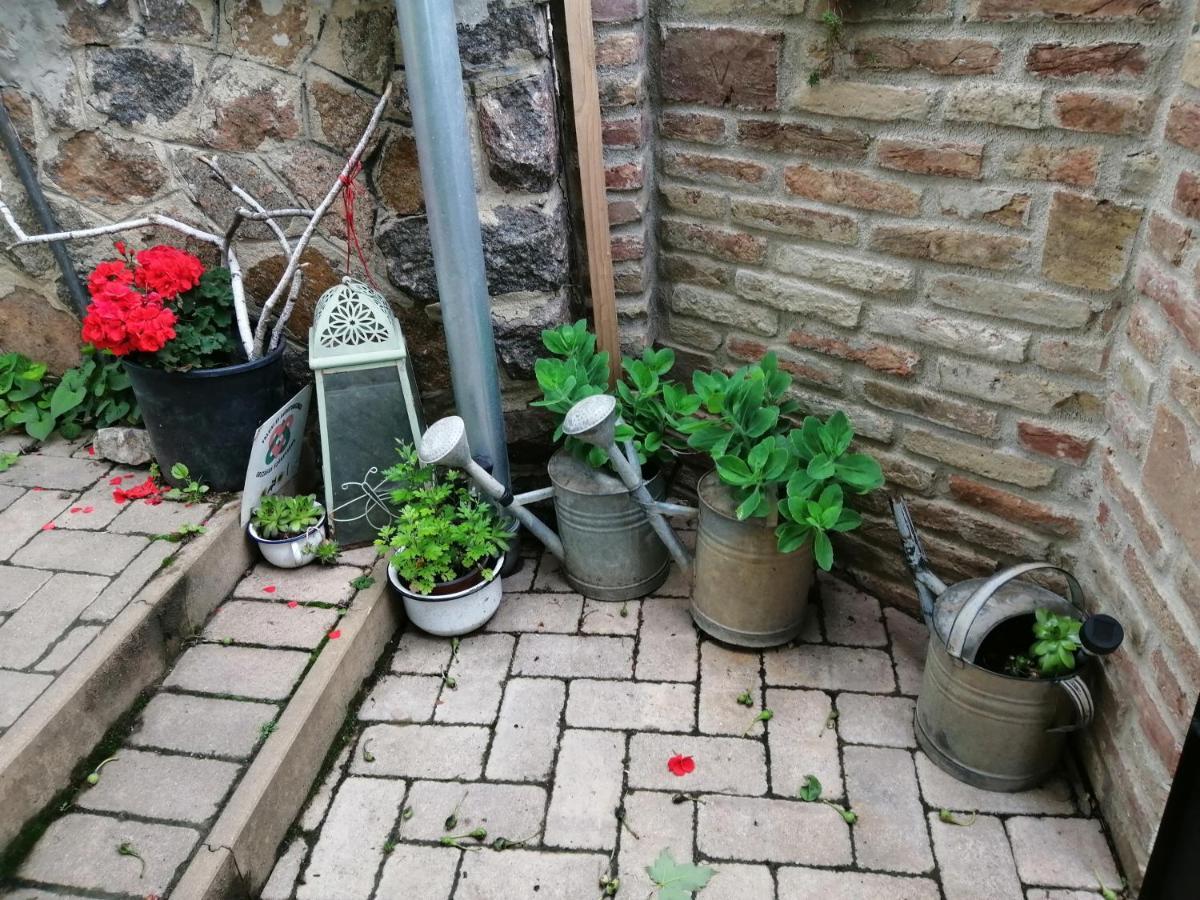 Míves Vendégház Pogány Exterior foto