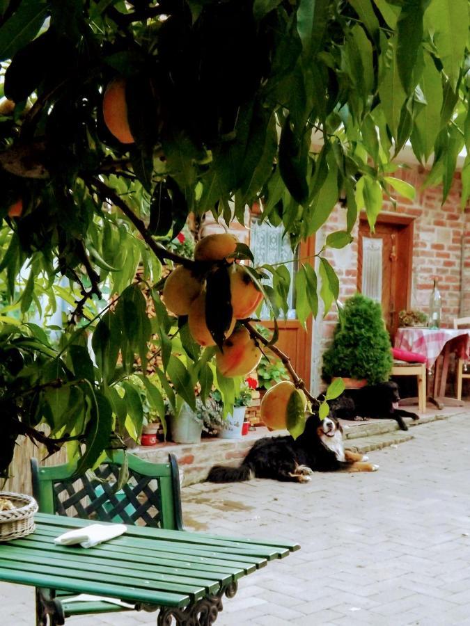 Míves Vendégház Pogány Exterior foto